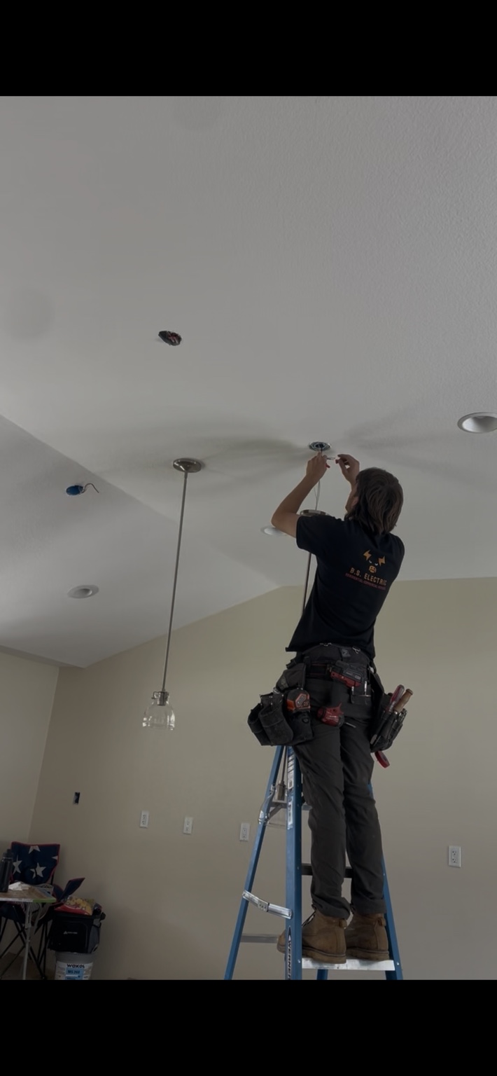 Lighting & Fans
